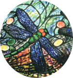 dragonfly-oval